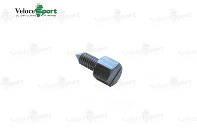 GT/GTV Door Glass Guide Fastening Screw