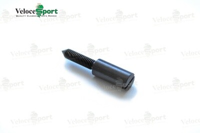 GT/GTV Quarterlight Fastening Screw