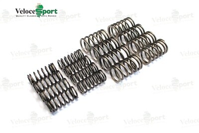 Standard Valve Spring Set