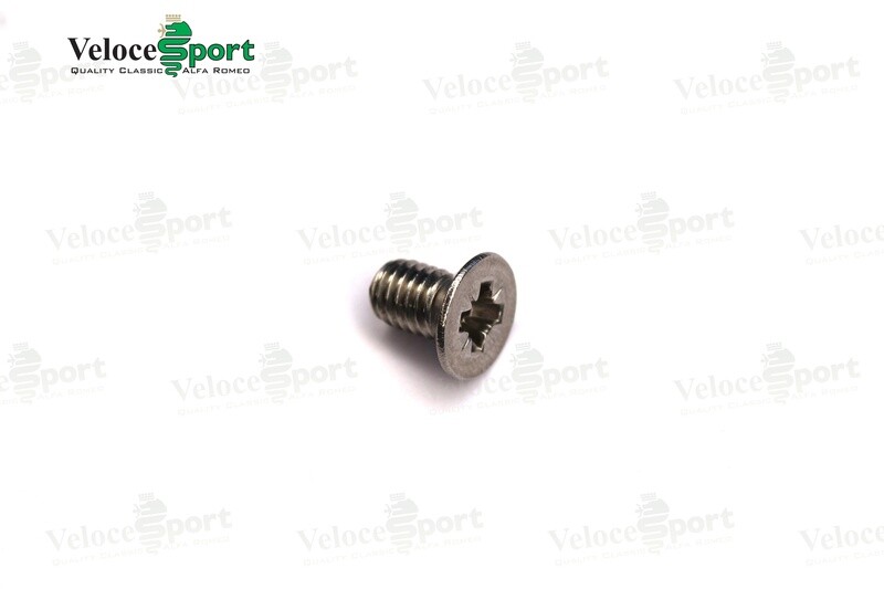 GT/Saloon Door Catch Mechanism Fixing Bolt