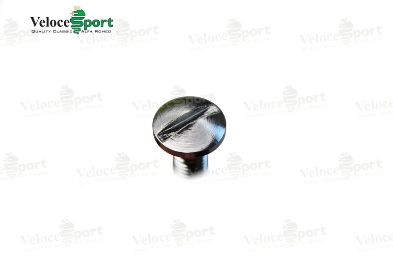 Spider Headlight Cover Chrome Hook Securing Bolt