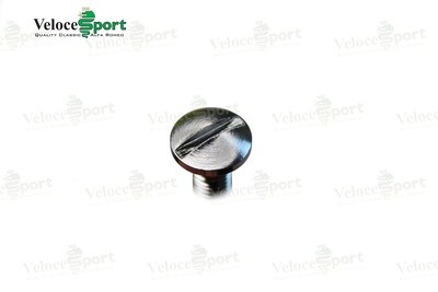 Spider Headlight Cover Chrome Hook Securing Bolt