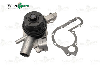 Water Pump 2 Outlet Small Pulley