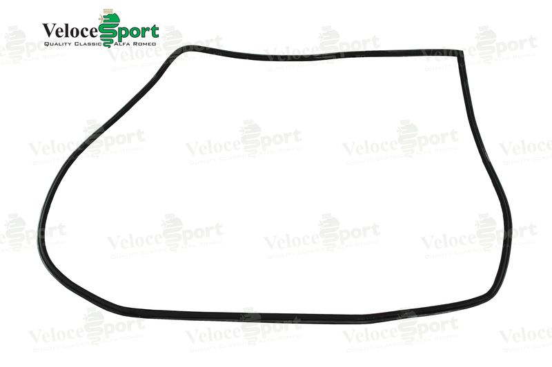GT/GTV Main Door Rubber Seal, Left Side
