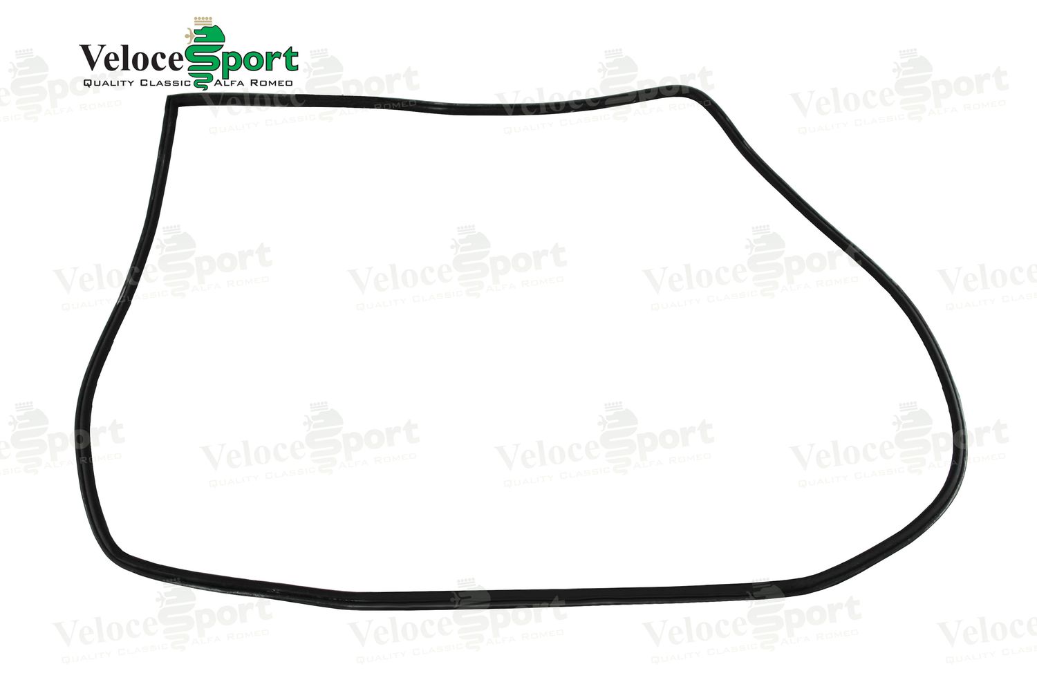 GT/GTV Main Door Rubber Seal, Right Side