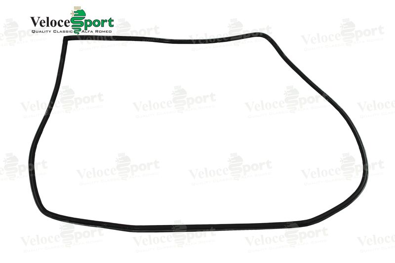 GT/GTV Main Door Rubber Seal, Right Side