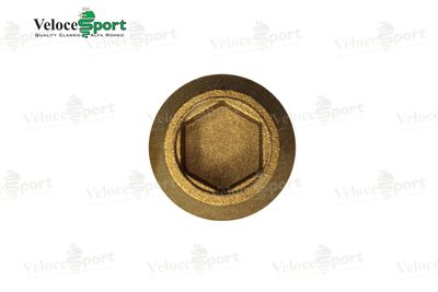 Gearbox/ Differential Oil Filler Plug