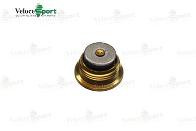 Gearbox/ Differential Oil Filler Plug
