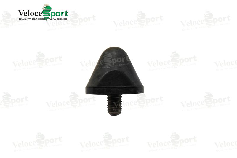 Differential Case Bump Stop