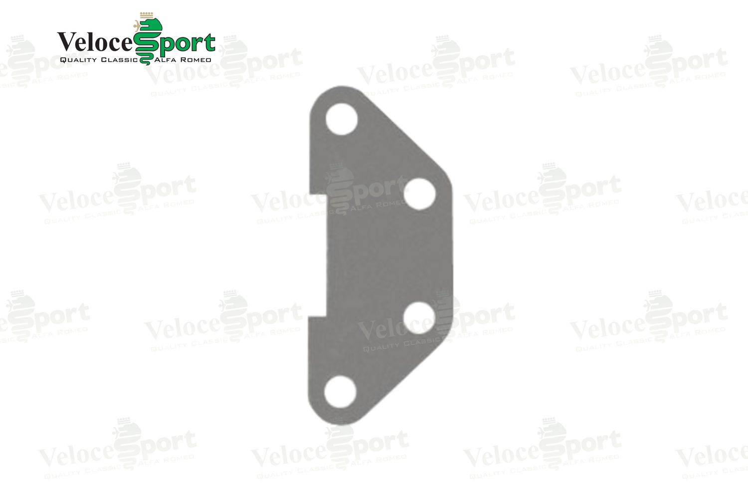 GT/GTV Lower Door Hinge Spacer 1964-77
