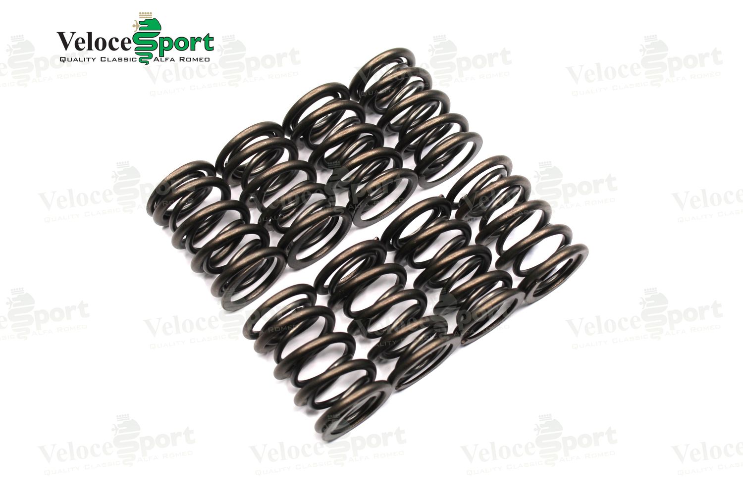 Jim Evans Race Valve Spring Set