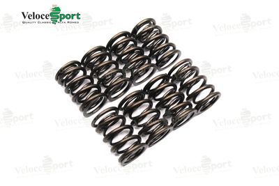 Jim Evans Race Valve Spring Set
