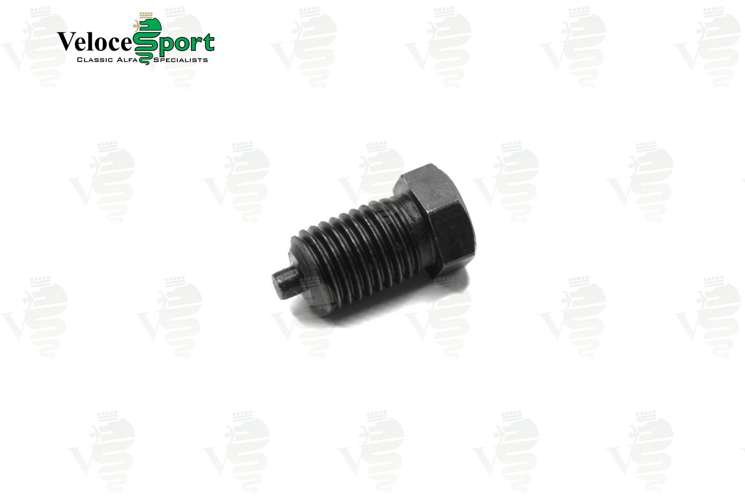 Timing Chain Tensioner Bolt Timing Chain Tensioner Bolt