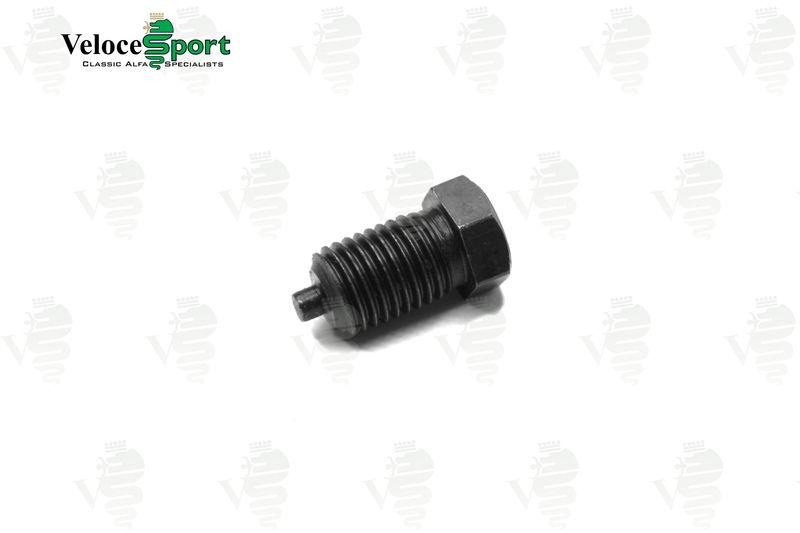 Timing Chain Tensioner Bolt