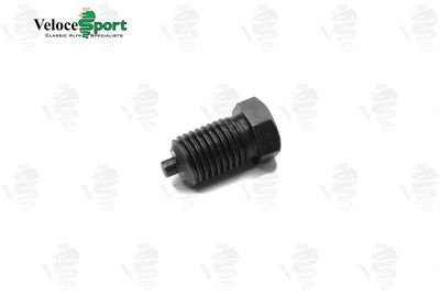 Timing Chain Tensioner Bolt Timing Chain Tensioner Bolt