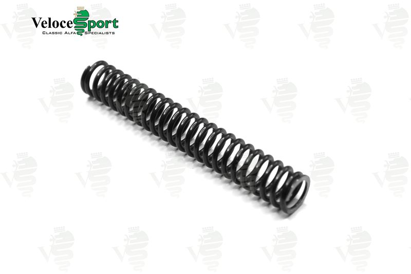 Timing Chain Tensioner Spring