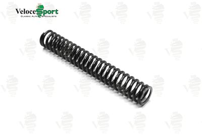 Timing Chain Tensioner Spring Timing Chain Tensioner Spring