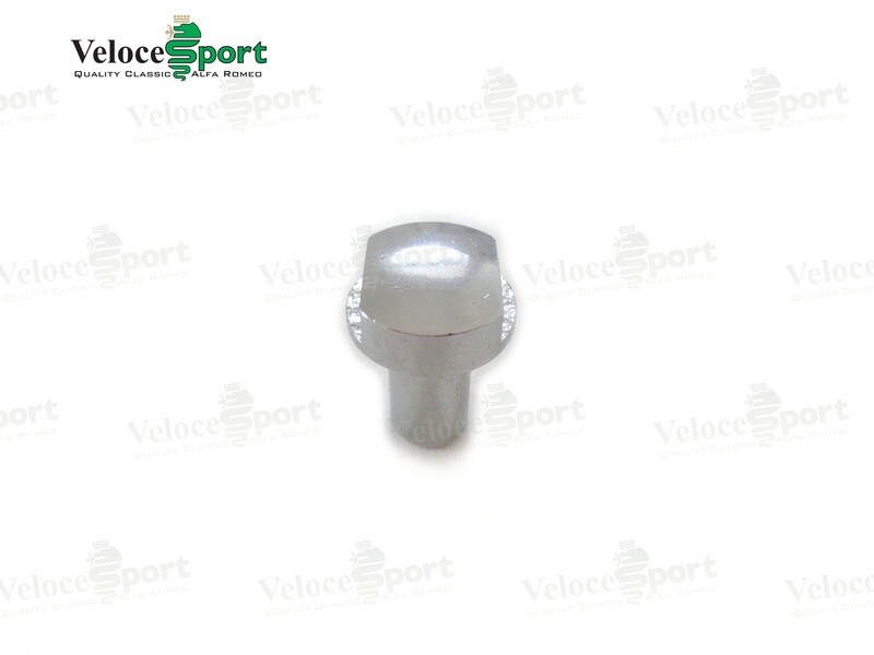 Cam Cover Hold Down Bolt, Late Style