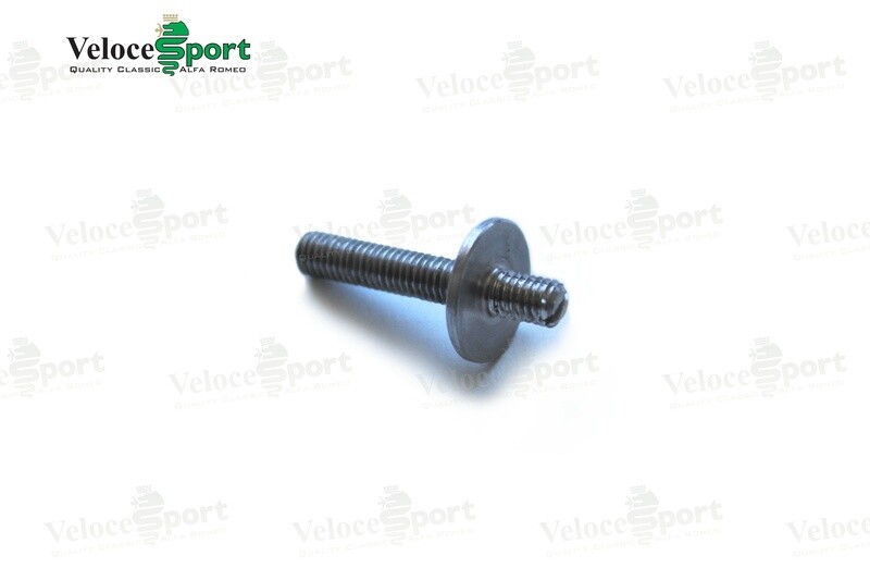 GT/GTV Quarterlight Adjusting Screw