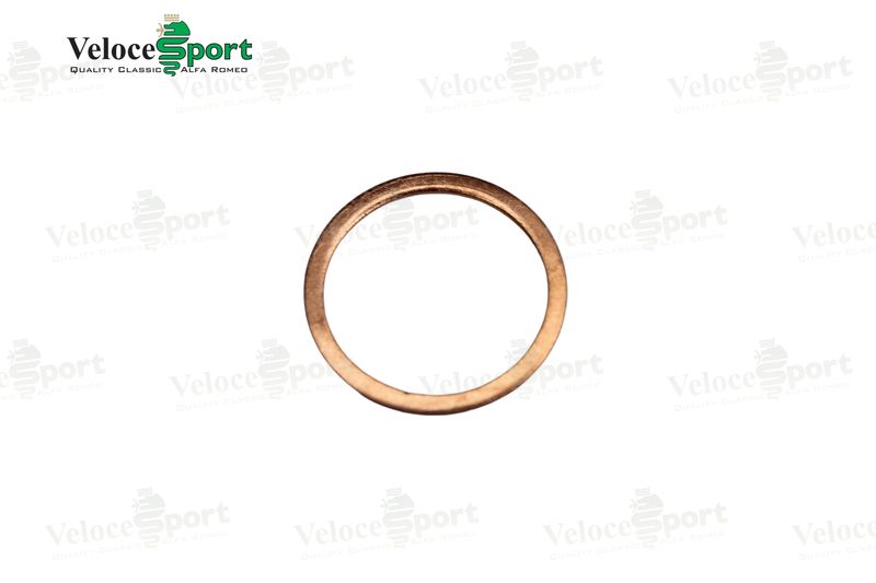 Oil Sump/ Gearbox/ Differential Plug Washer
