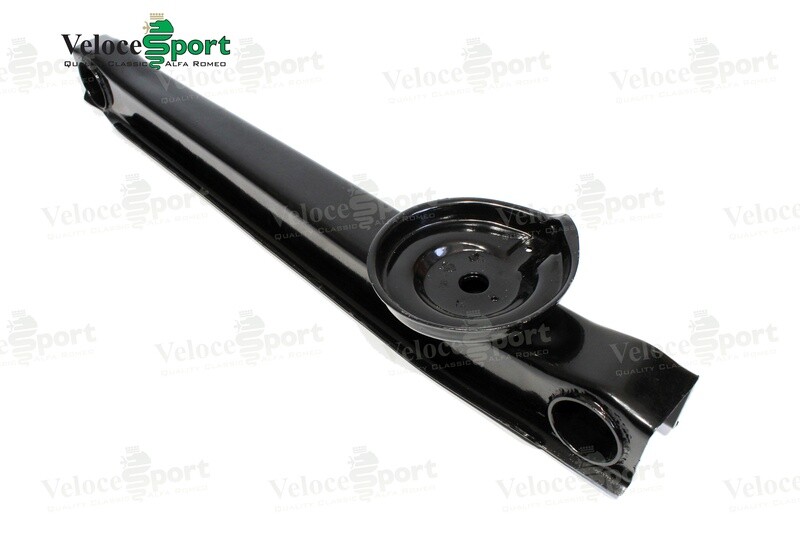 Rear Trailing Arm