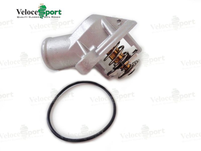 Thermostat In Housing
