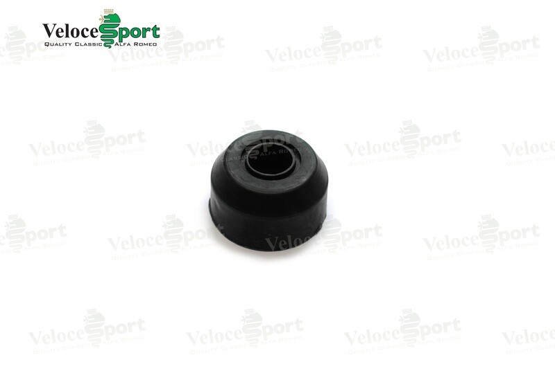 Wiper Spindle Cap