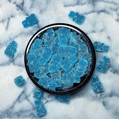 Blue Razz Sour Bears - 25 Pack