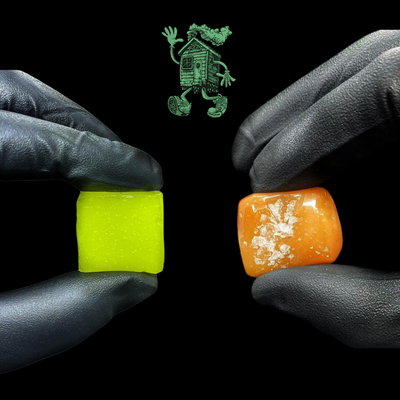 Taffy &amp; Caramel ELEVATE