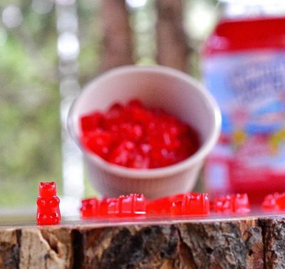 Fruit Punch Bears - 25 Pack