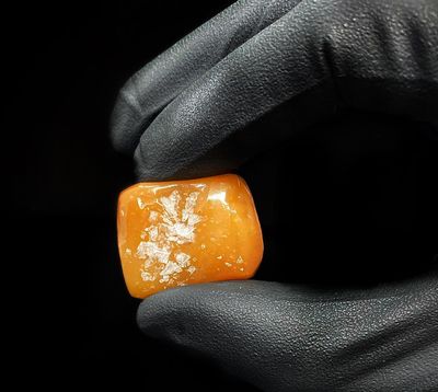 Sea Salt Caramel ELEVATE (5-Pack) - 50mg Per Piece