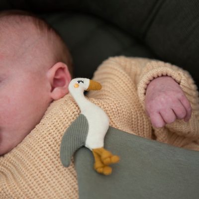 Trixie Knuffeldoekje - Reiger