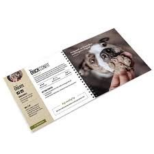 Big Country Raw Accessories, Type: Big Country Raw Recipe Book
