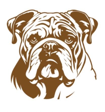 Carnivore Kingdom's WHOLE Trachea