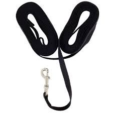 Aspen Pet 30ft leash