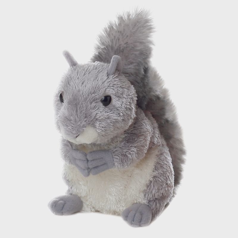 Nutty grey squirrel