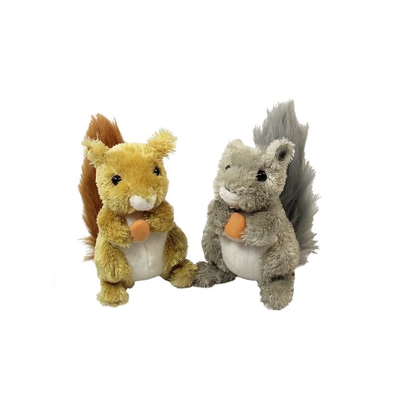 Grey Squirrel w/acorn