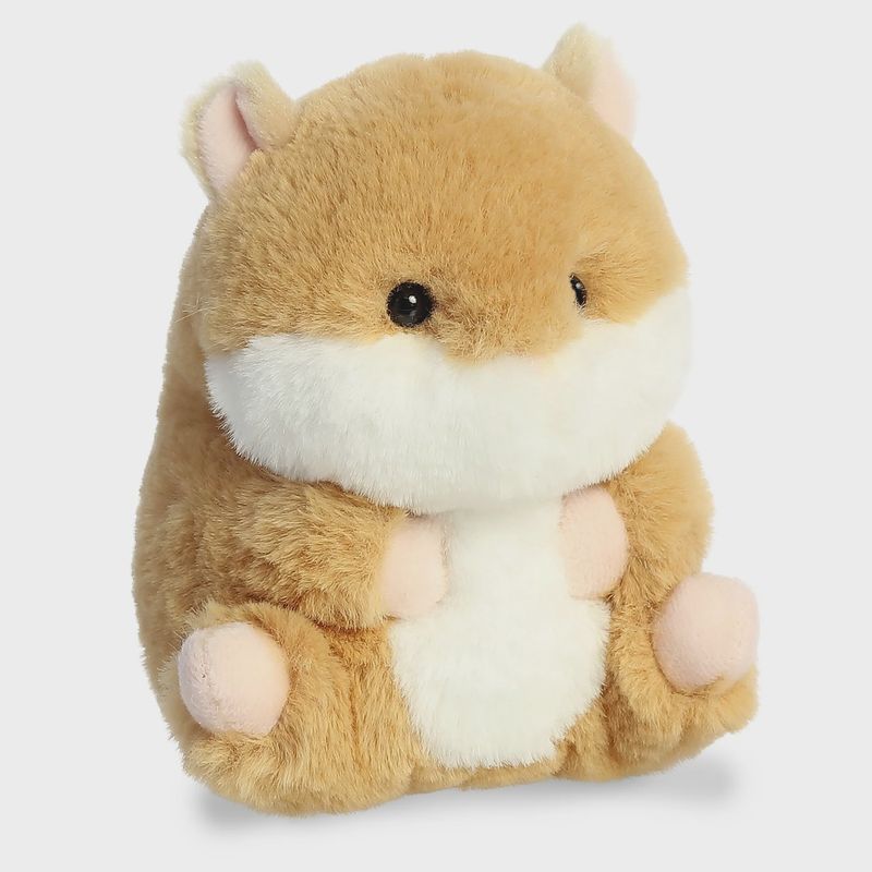 Frolic hamster``