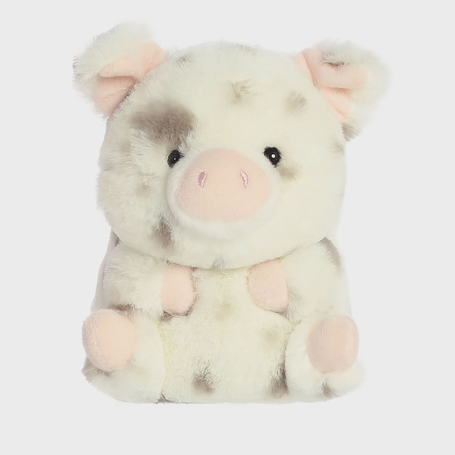 PERIWINKLE PIG