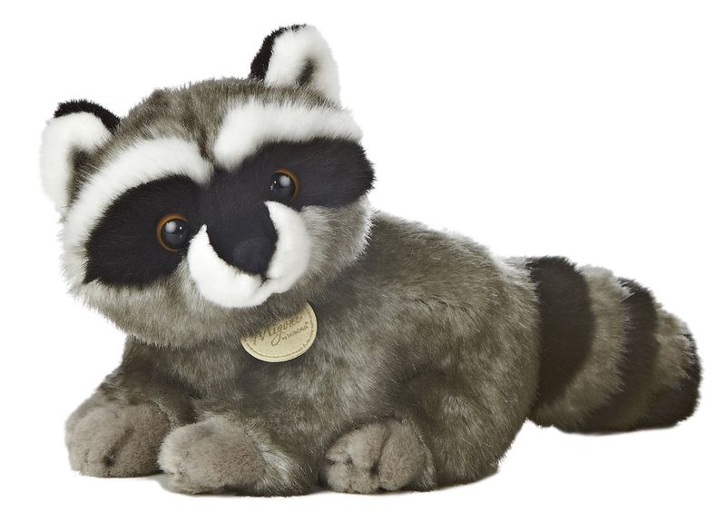 Raccoon by Miyoni