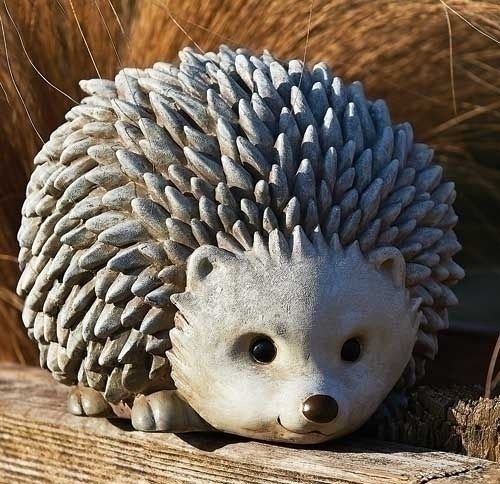 Hedgehog statute