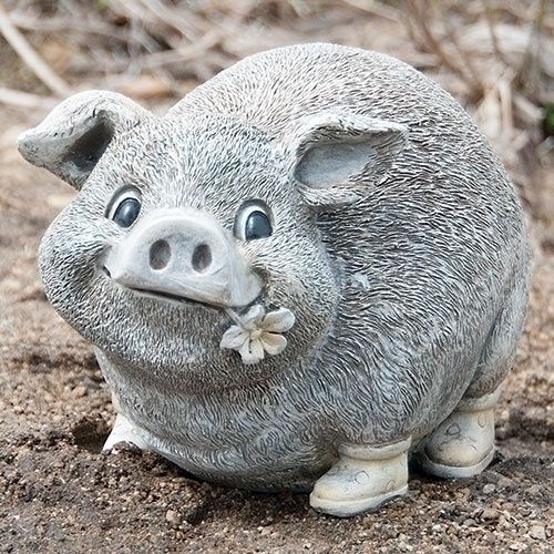 Pig in rain boots