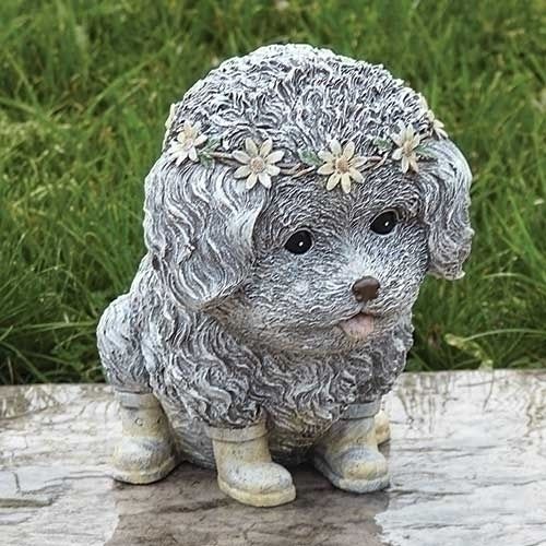 Rainy day pudgy dog