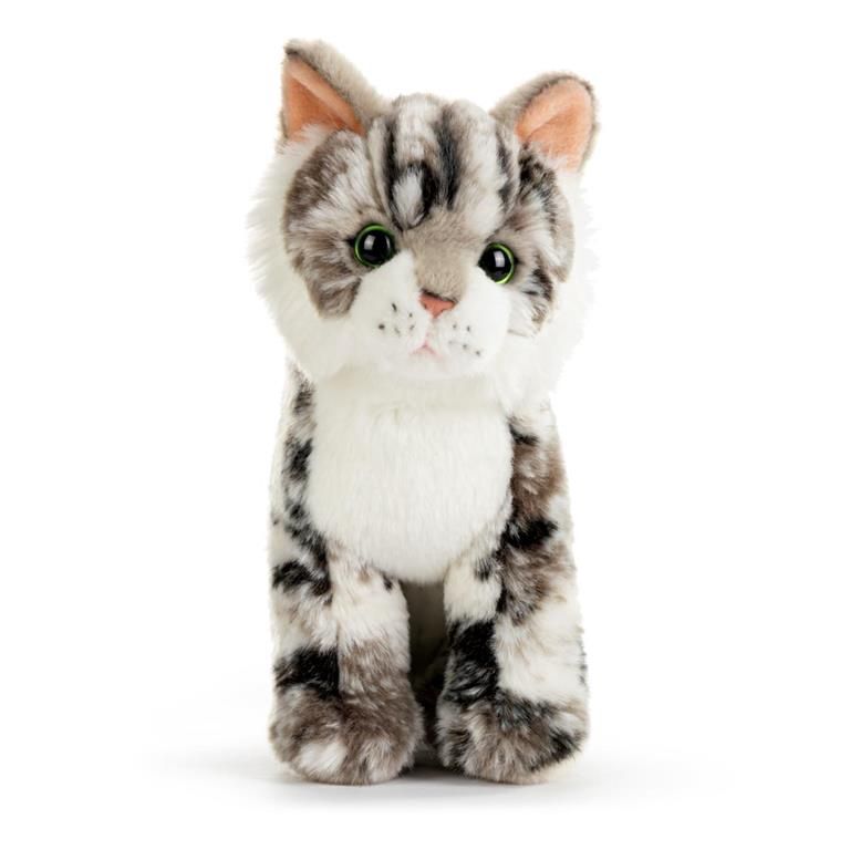 GRAY MAINE COON CAT SMALL
