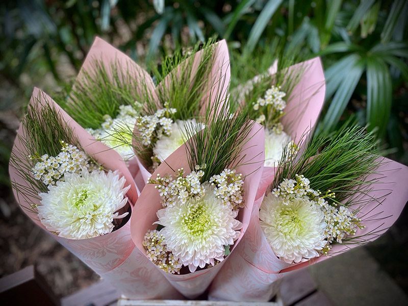 Mixed Colours Disbud