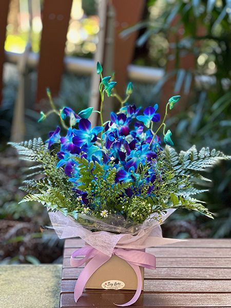 Stunning Singapore Orchid Arrangement