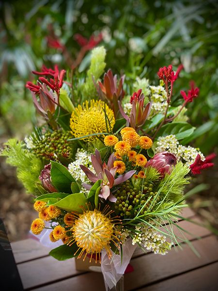 Outback Native Arrangement