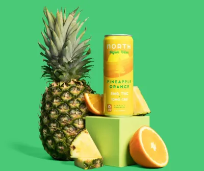 North Higher Vibes Seltzer PINEAPPLE ORANGE 15mg 355mL