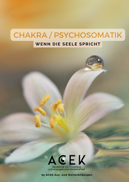 Dokument Chakra und Psychosomatik