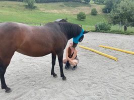 Coaching mit Pferden